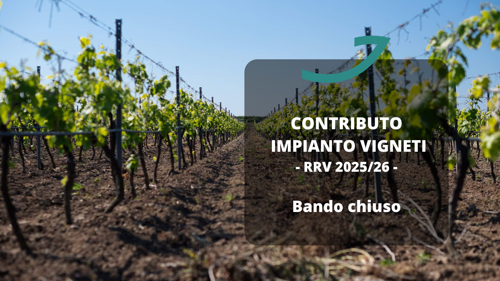 ristrutturazione e riconversione vigneti